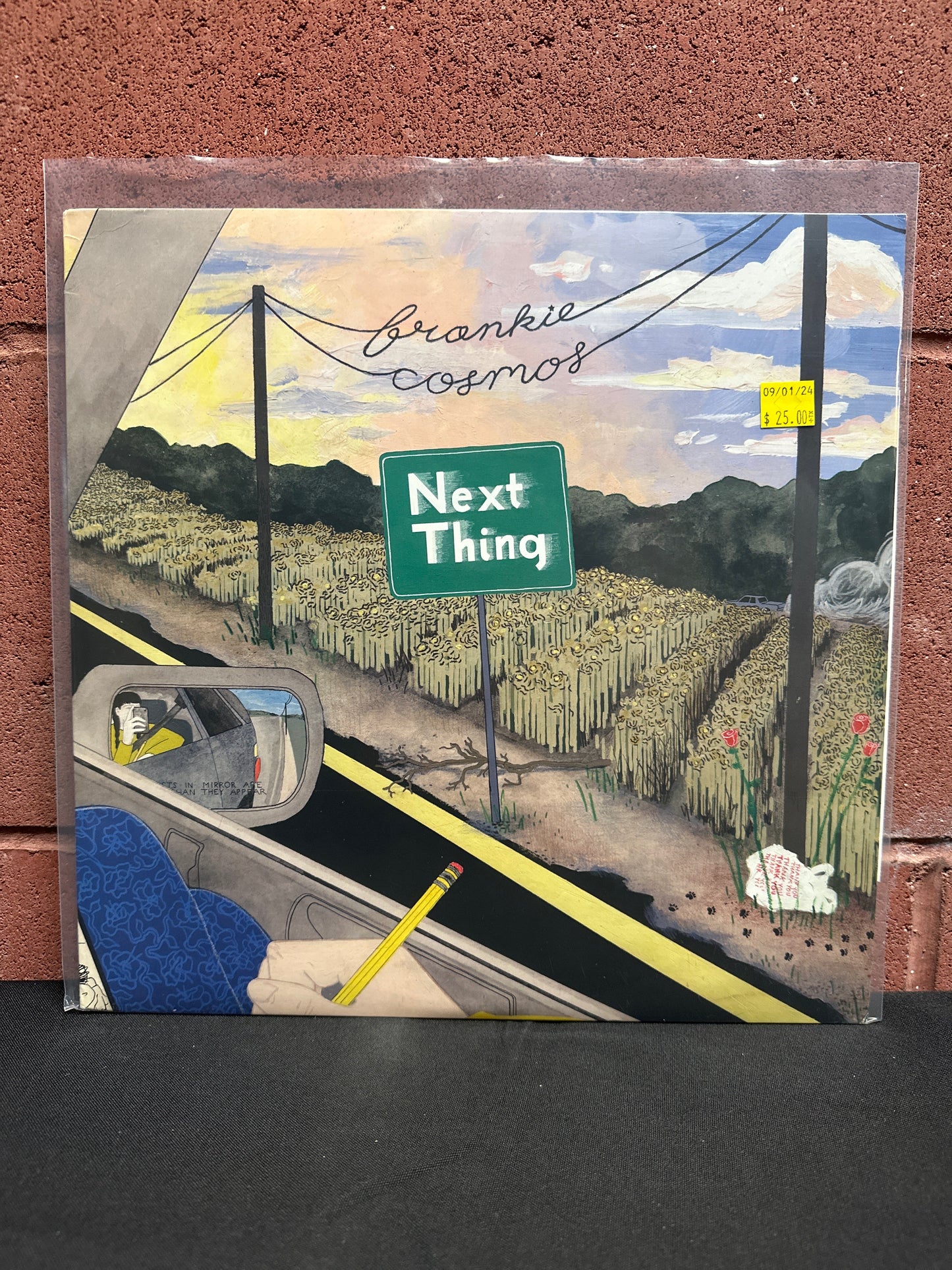 Used Vinyl:  Frankie Cosmos ”Next Thing” LP