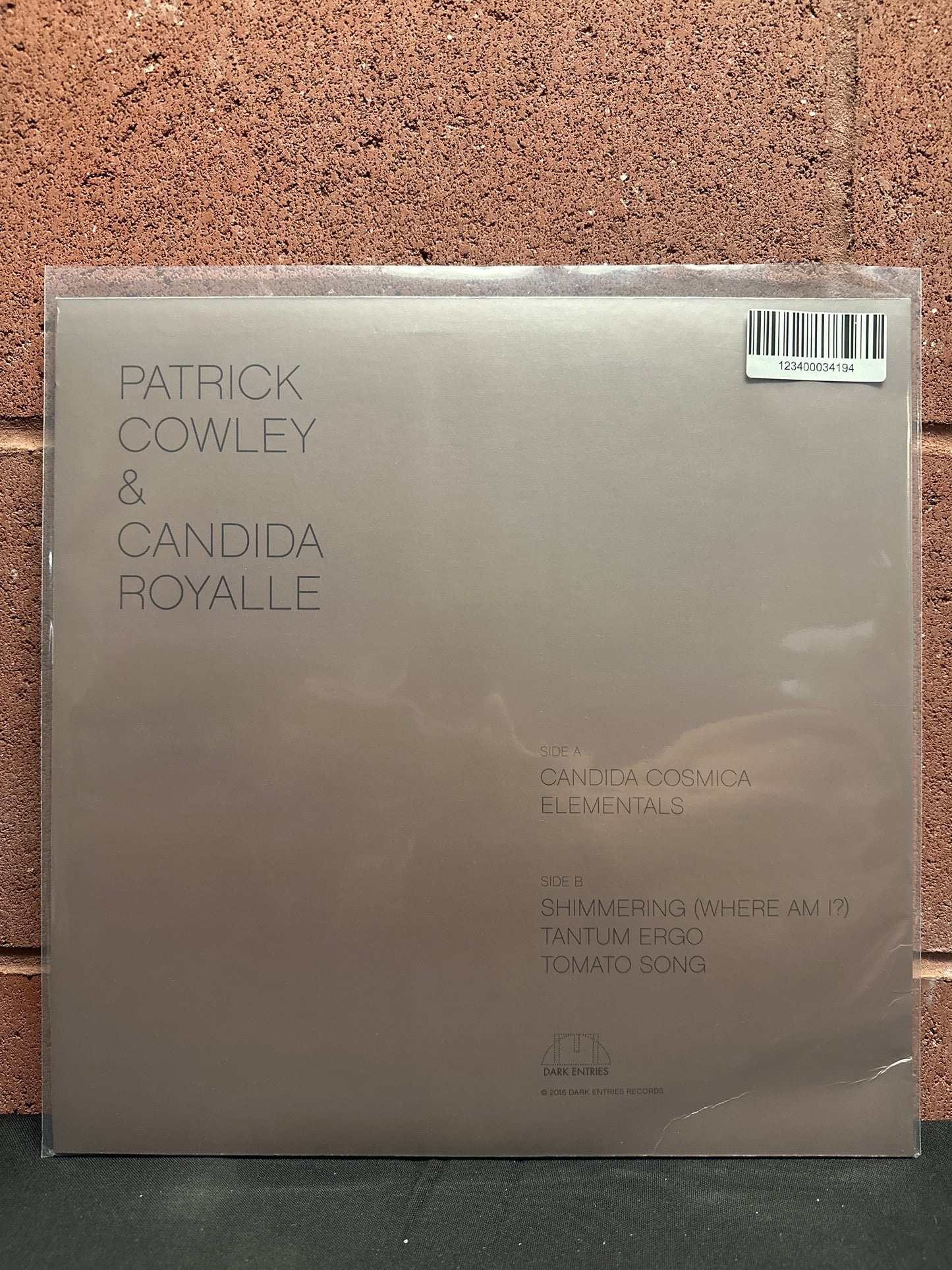 Used Vinyl:  Patrick Cowley & Candida Royalle ”Candida Cosmica” 12"