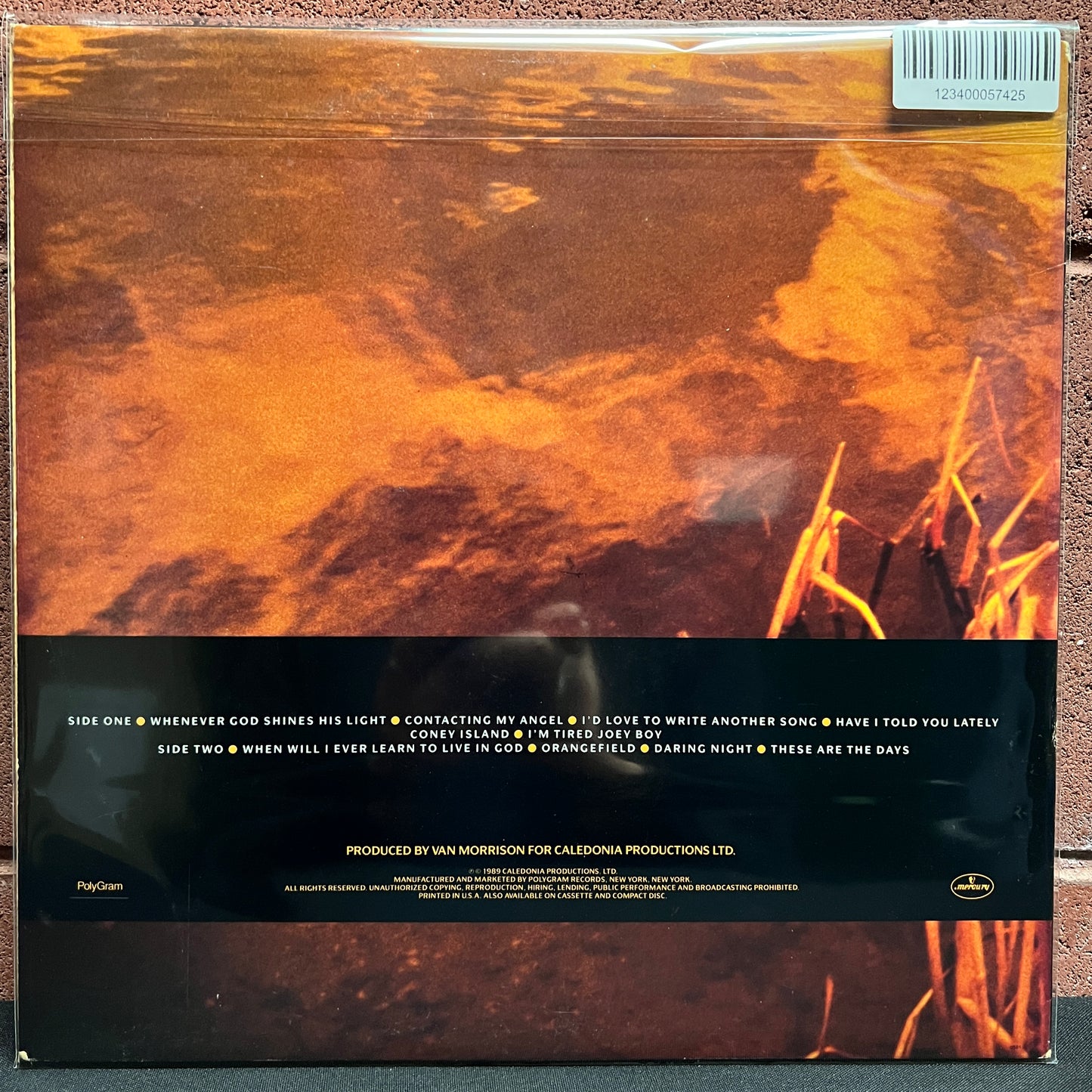 Used Vinyl: Van Morrison "Avalon Sunset" LP (1989 Press)