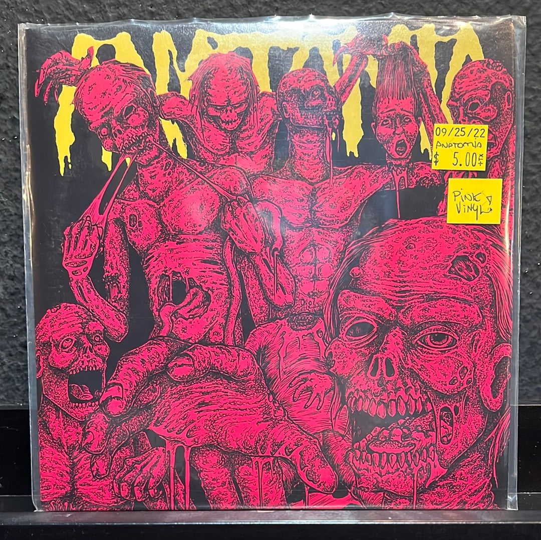 USED VINYL: Anatomia / Living Decay “Anatomia / Living Decay” 7" EP (Pink Vinyl)