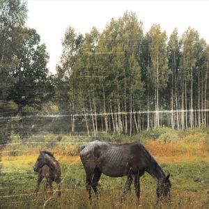 Pianos Become The Teeth "Old Pride" LP (Forest Green)