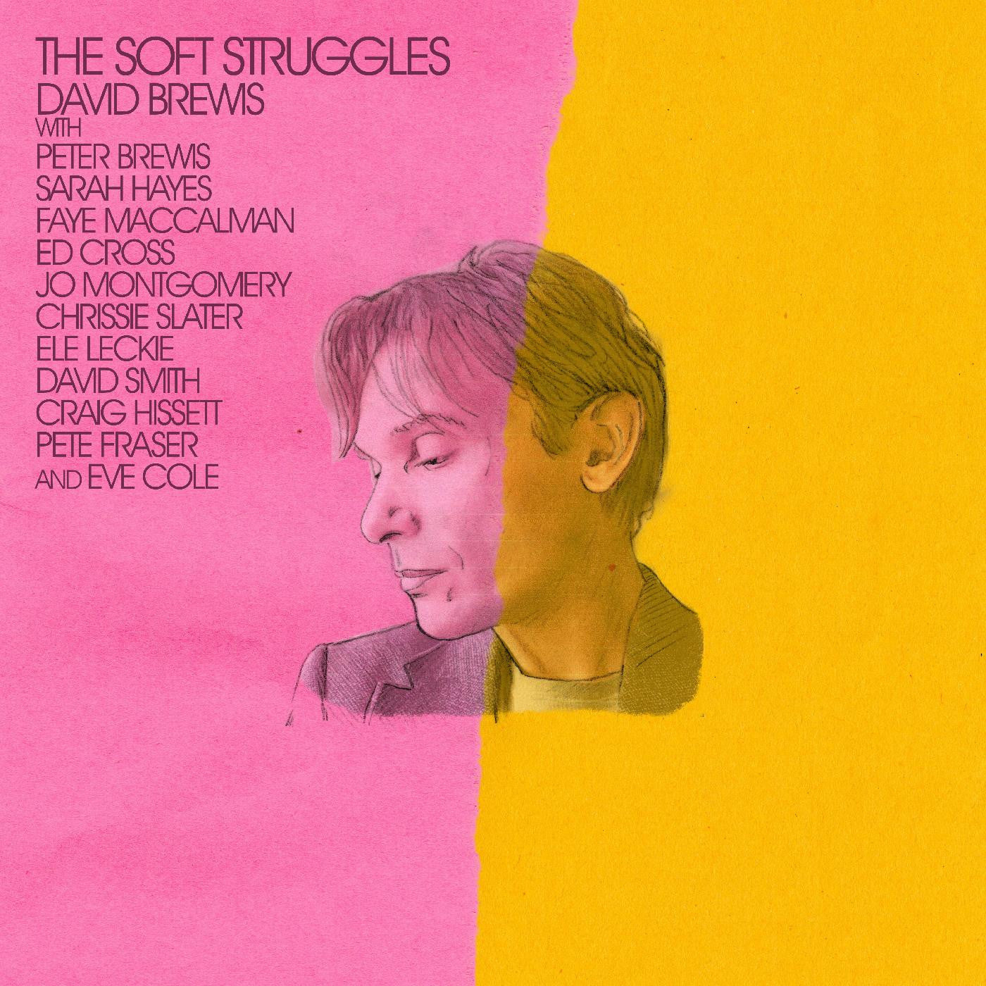DAMAGED: David Brewis "The Soft Struggles" LP