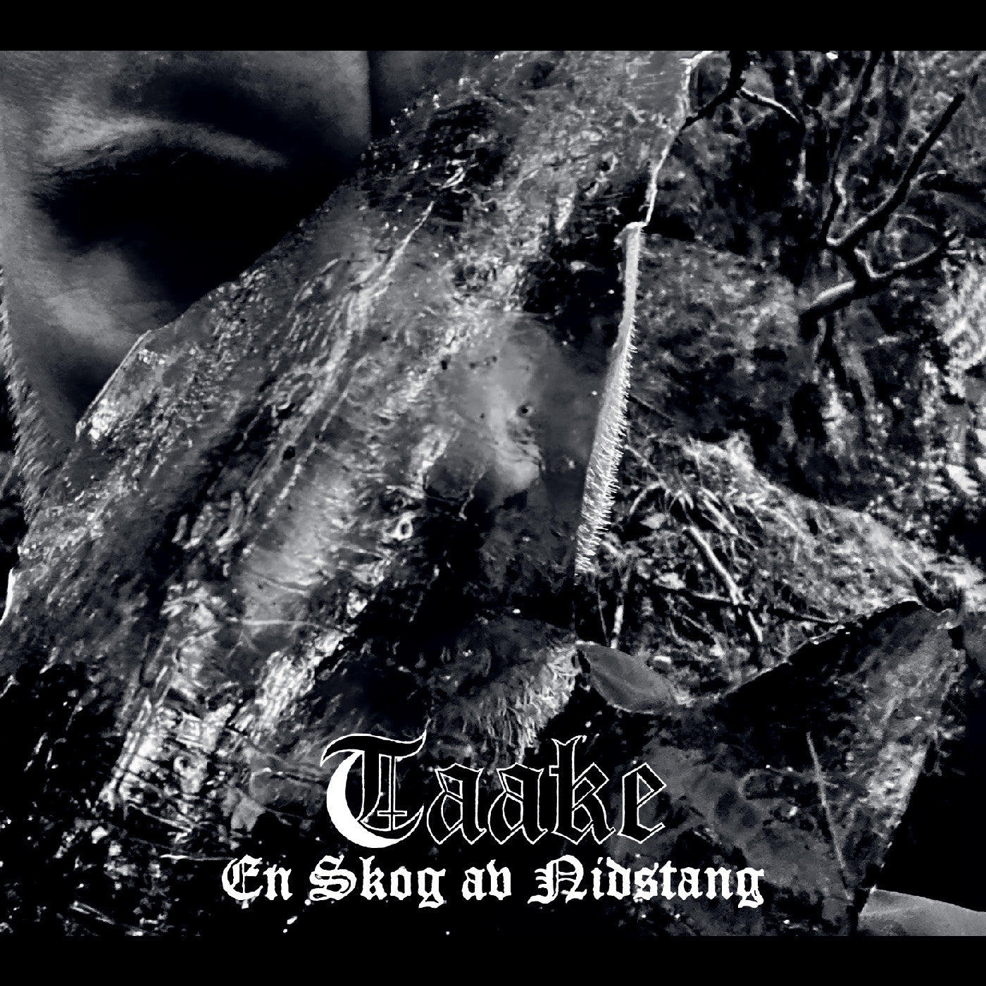 PRE-ORDER: Taake "En Skog av Nidstang" LP