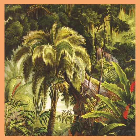 PRE-ORDER: Xiu Xiu "La Foret" LP (Jade EcoMix Vinyl)