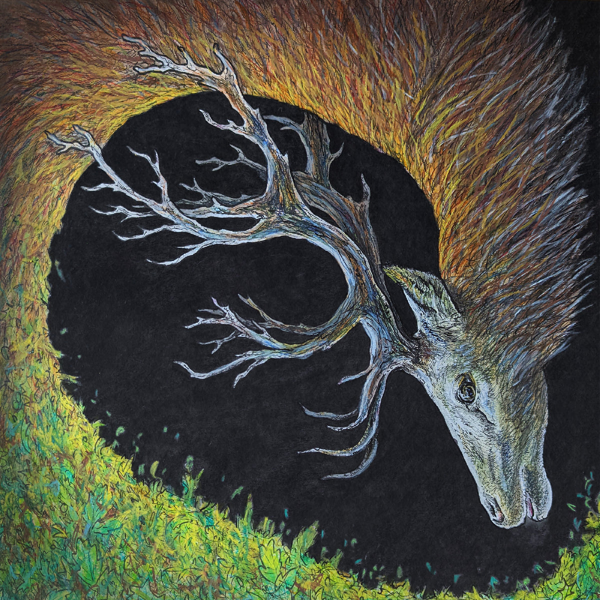 PRE-ORDER: Petrels "Infangthief" LP (Deluxe Edition Clear Black Smoke Vinyl)