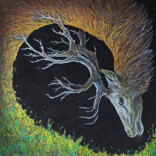PRE-ORDER: Petrels "Infangthief" LP (Deluxe Edition Clear Black Smoke Vinyl)