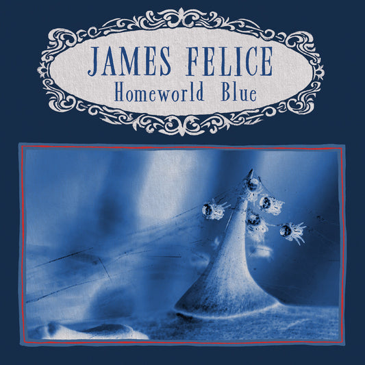 PRE-ORDER: James Felice "Homeworld Blue" LP (Indie Exclusive Marble Vinyl)
