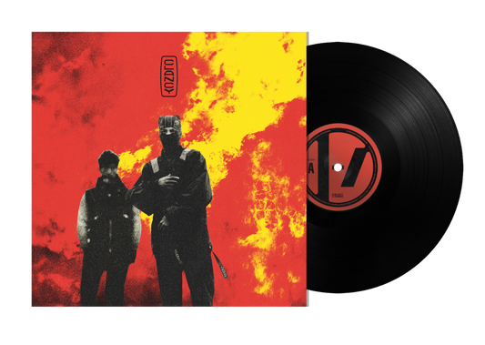 Twenty One Pilots "Clancy" LP
