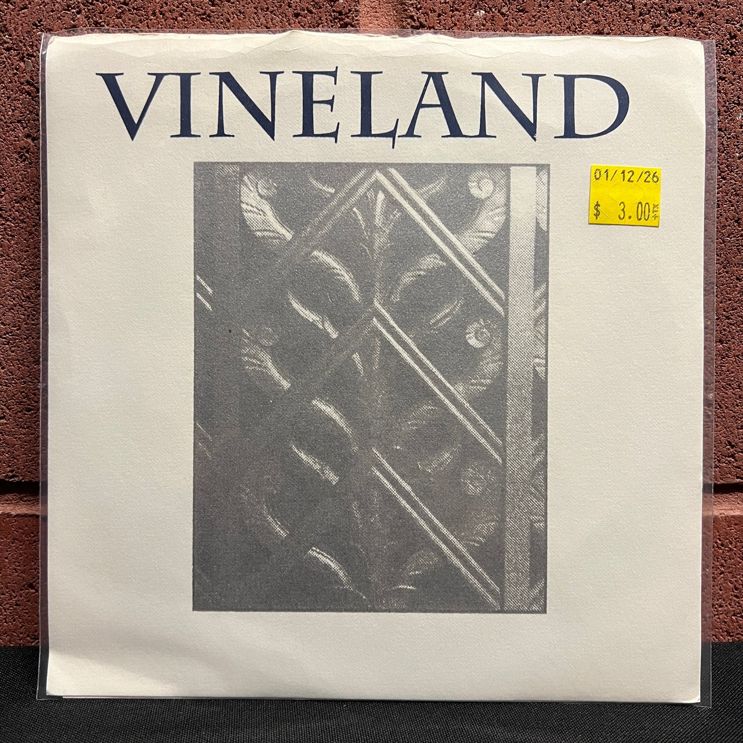Used Vinyl: Vineland "Archetype" 7"