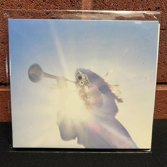 Used CD: Geese "Getting Killed" CD