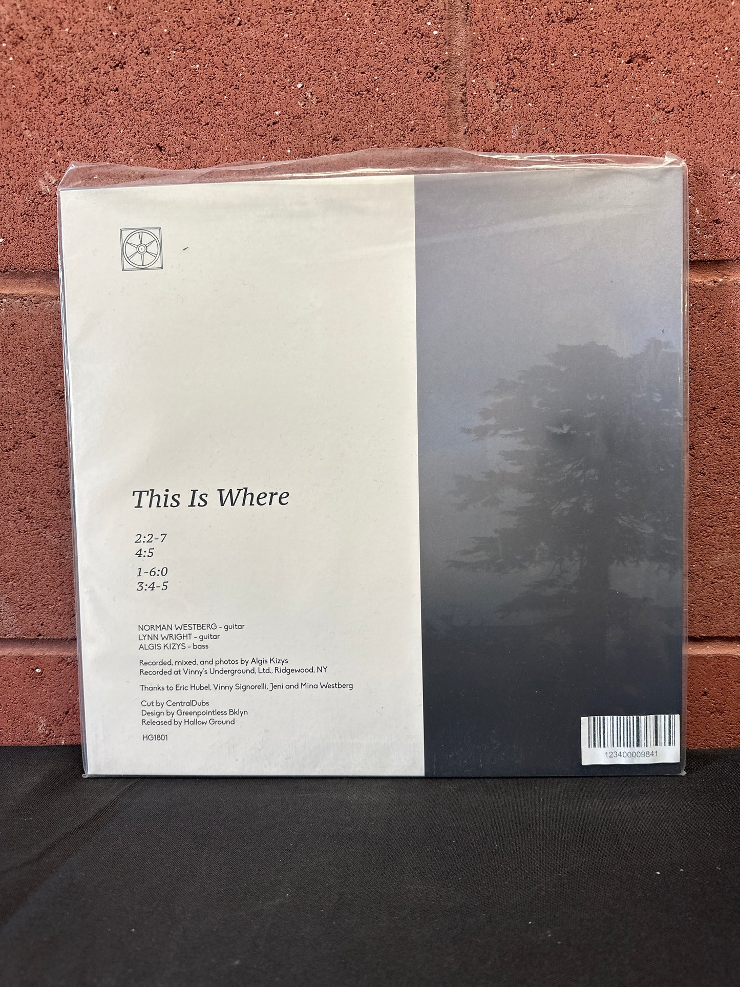 Used Vinyl:  This Is Where ”This Is Where” LP