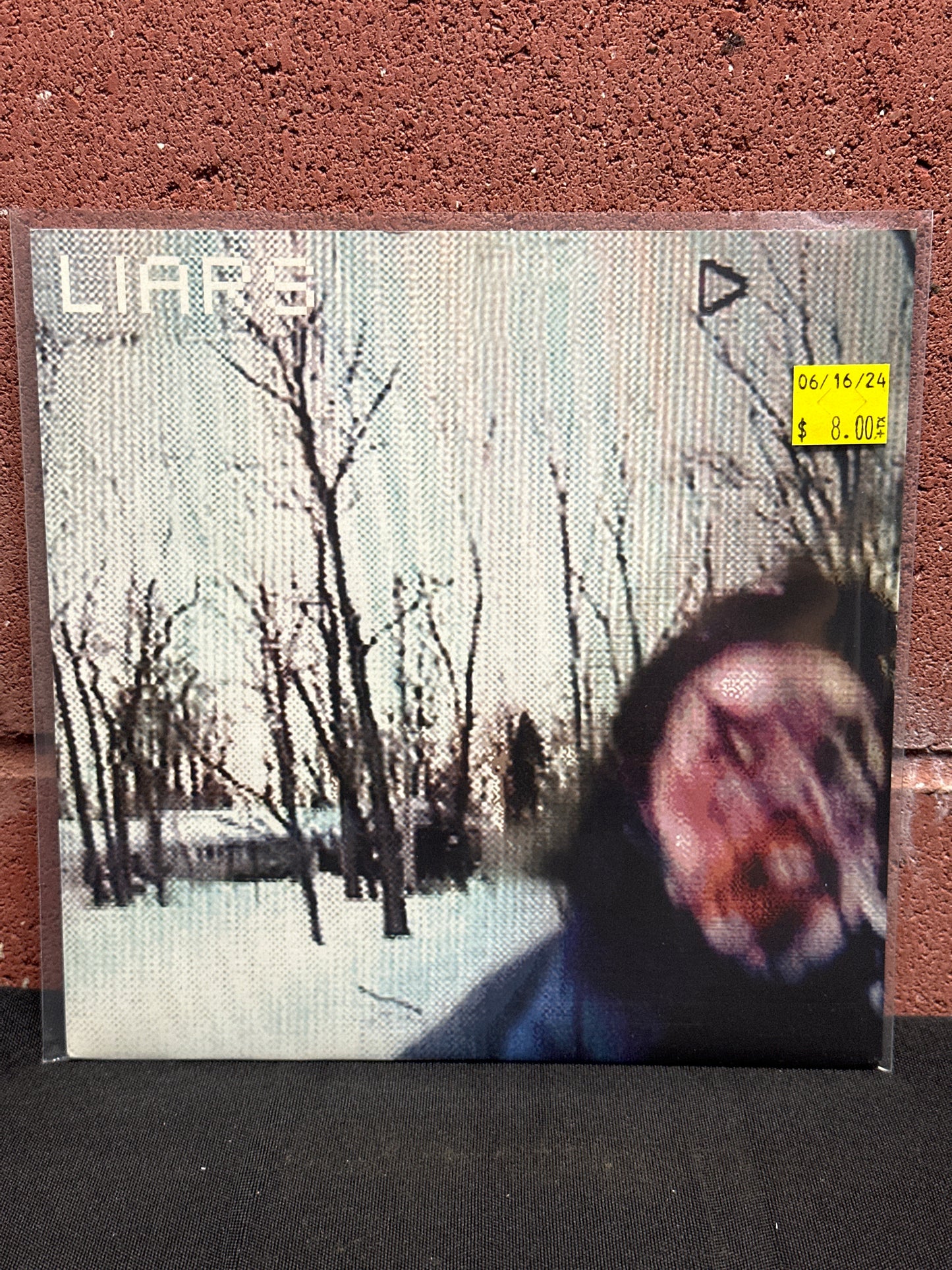 Used Vinyl:  Liars ”We Fenced Other Gardens With The Bones Of Our Own” 7"