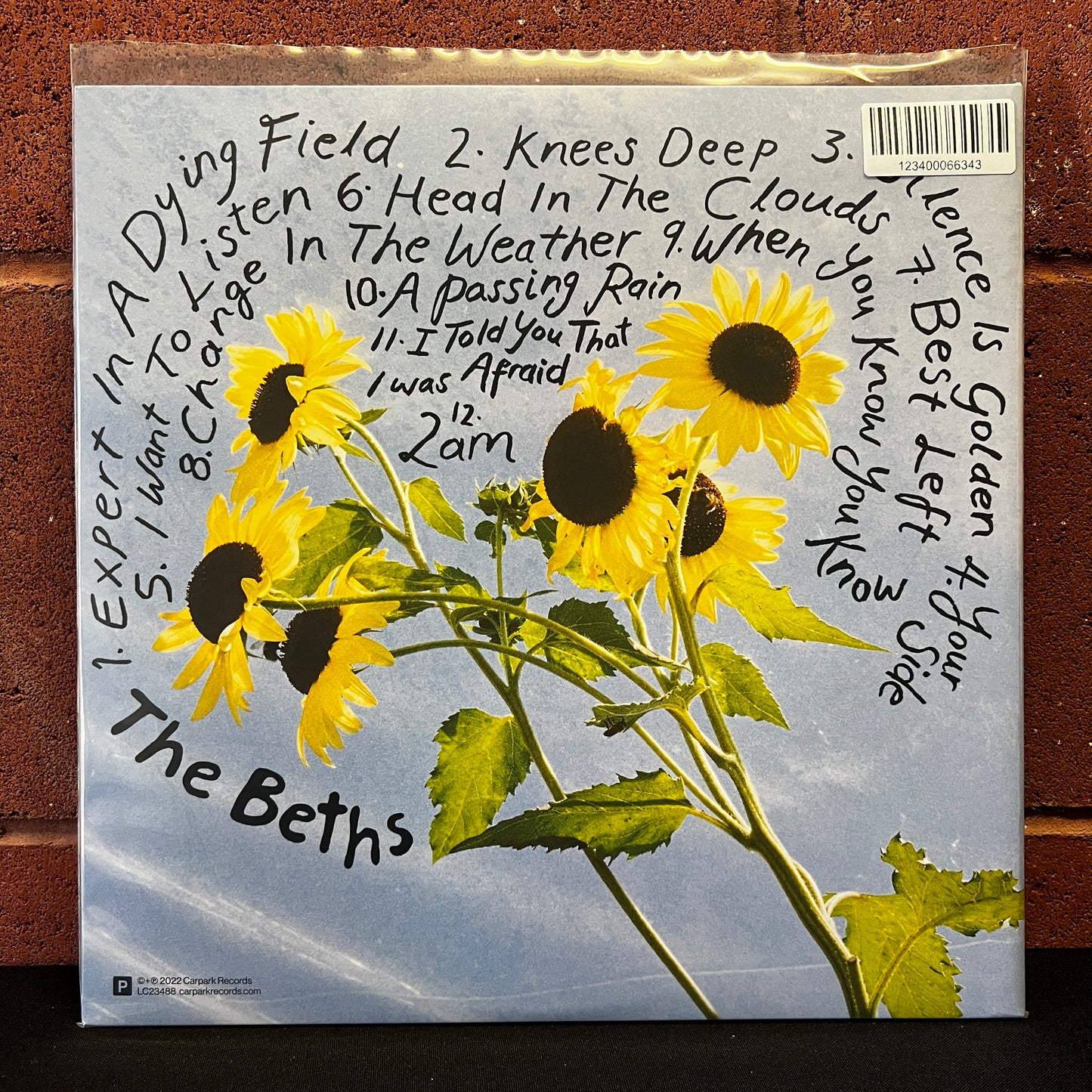 Used Vinyl: The Beths "Expert In A Dying Field" LP (2023 Press - Bone Vinyl)