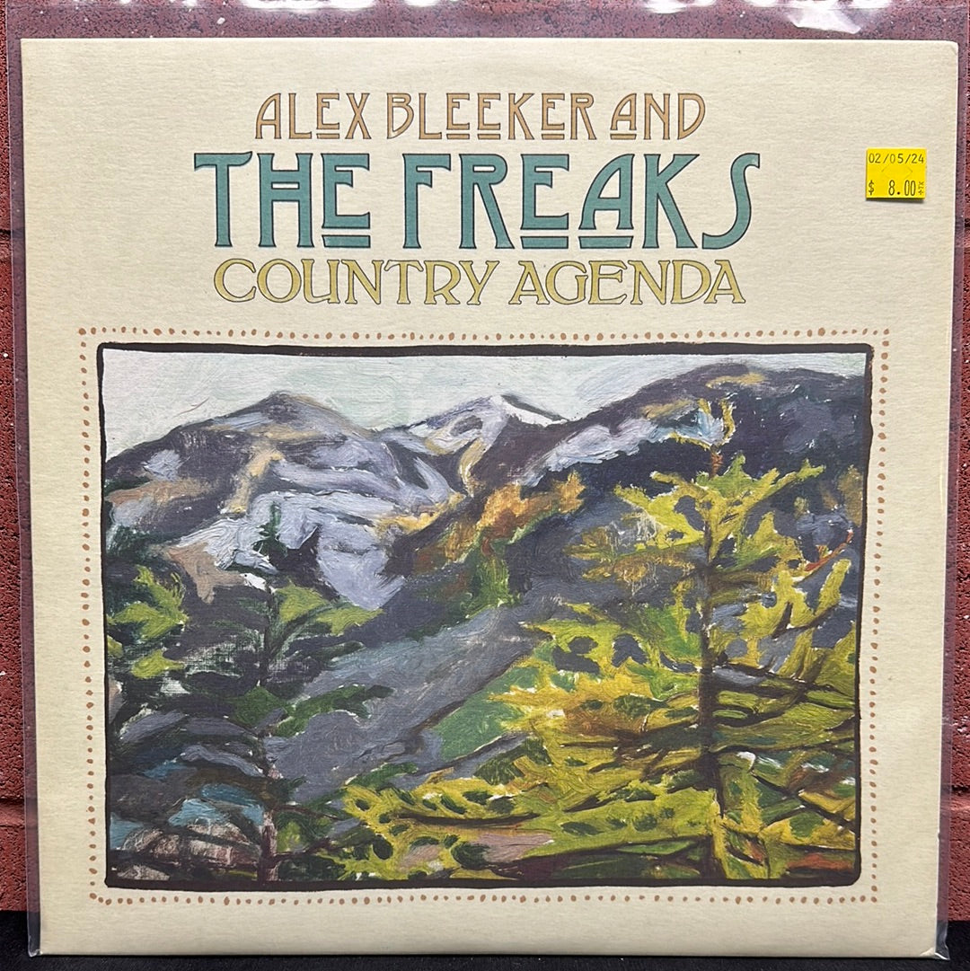 Used Vinyl:  Alex Bleeker And The Freaks ”Country Agenda” LP