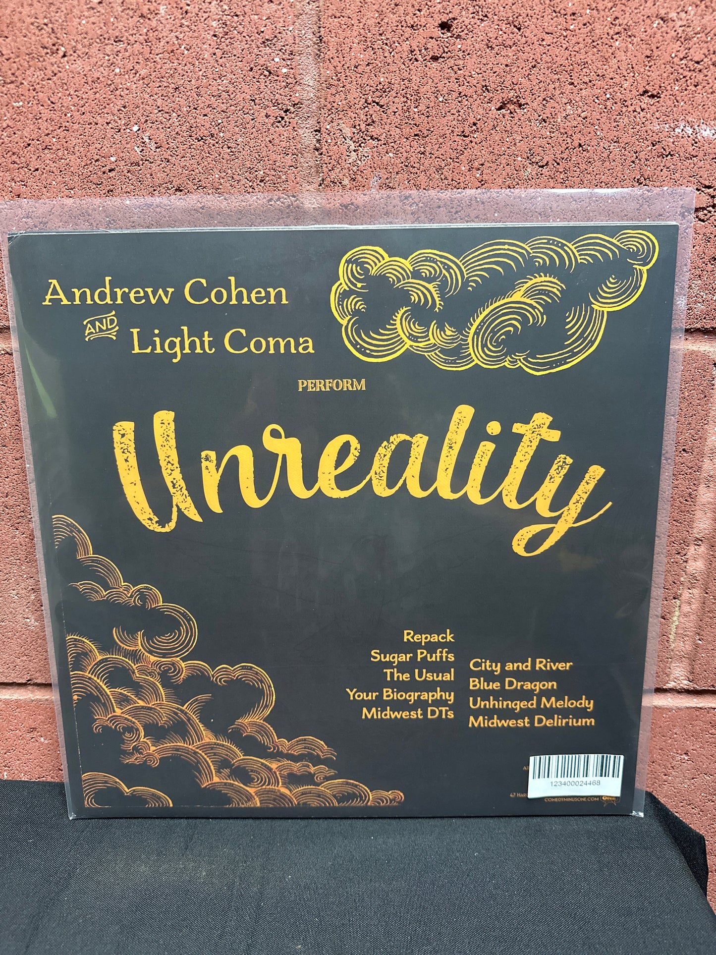 Used Vinyl:  Andy Cohen And Light Coma ”Unreality” LP