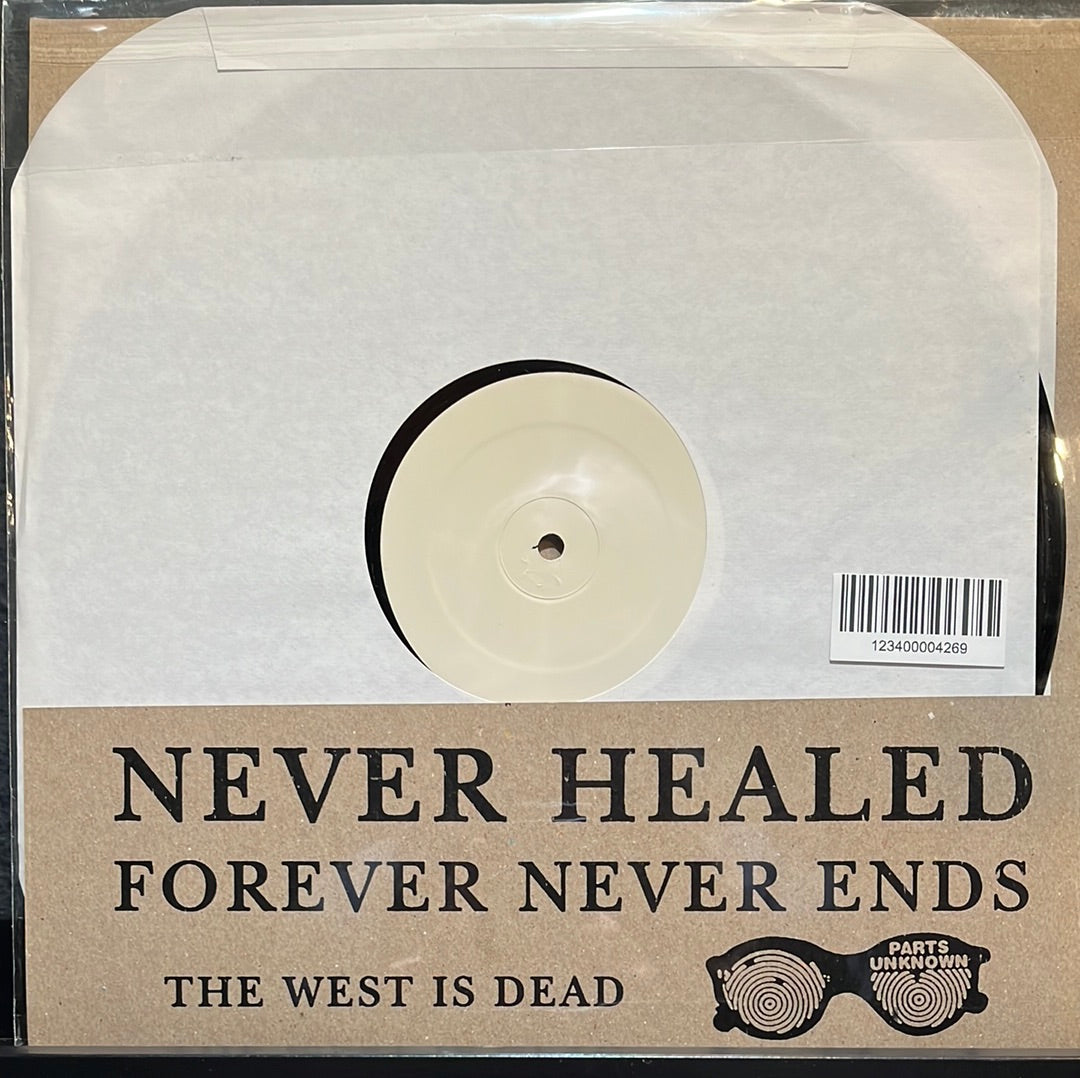 USED VINYL: Never Healed “Never Healed” LP