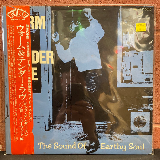 Used Vinyl:  Various "Warm & Tender Love - The Sound Of Earthy Soul" LP (Japanese Press)