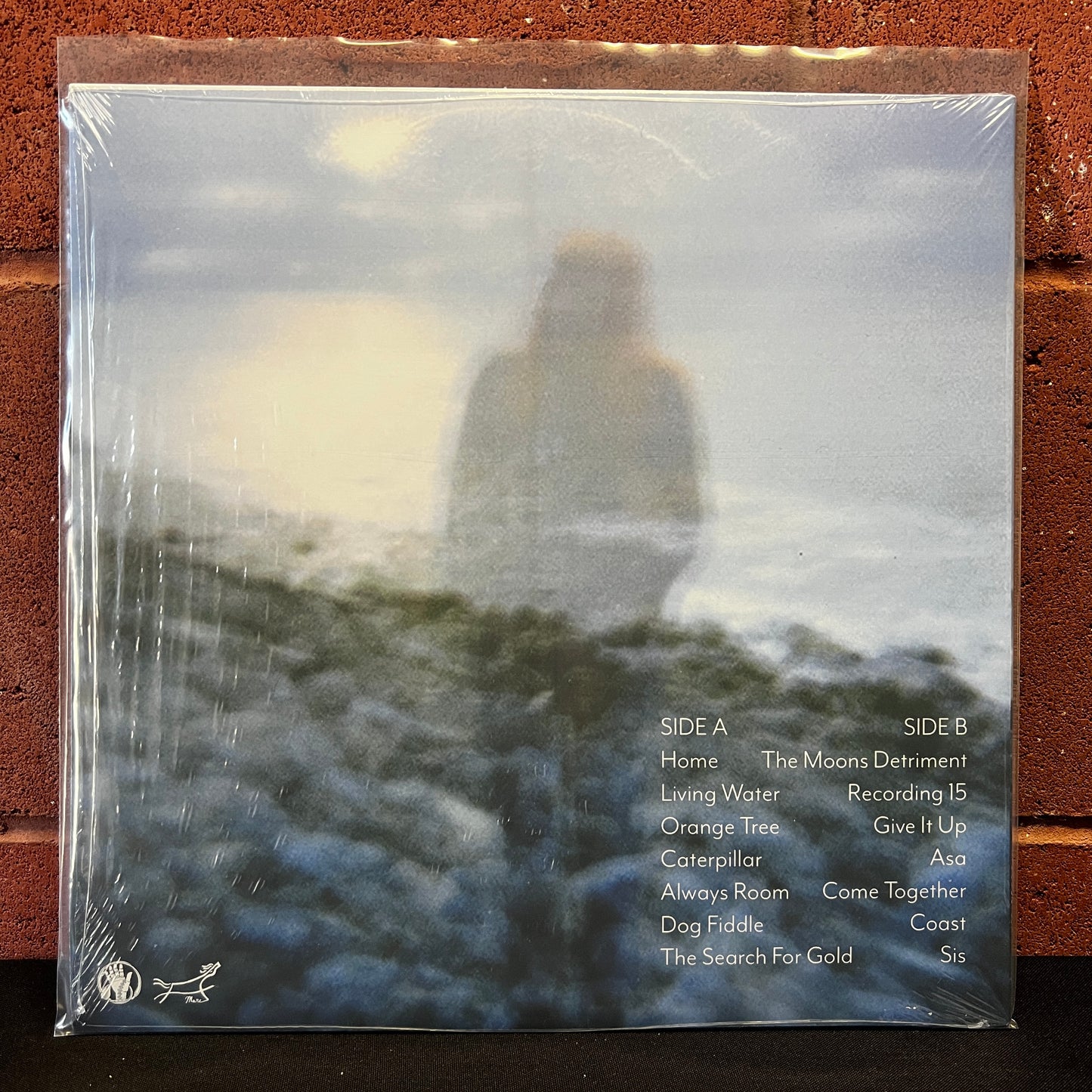 Used Vinyl: Shannon Lay "Living Water" LP (2017 Press)
