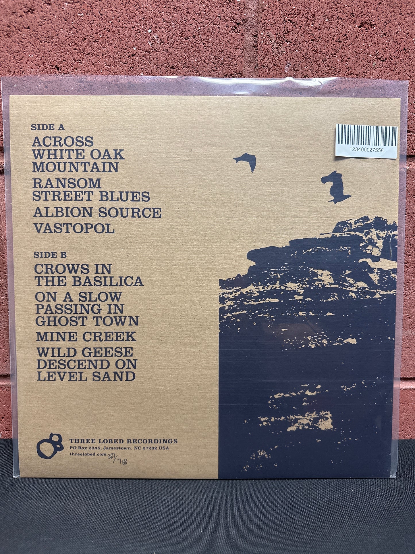 Used Vinyl:  Chuck Johnson ”Crows In The Basilica” LP