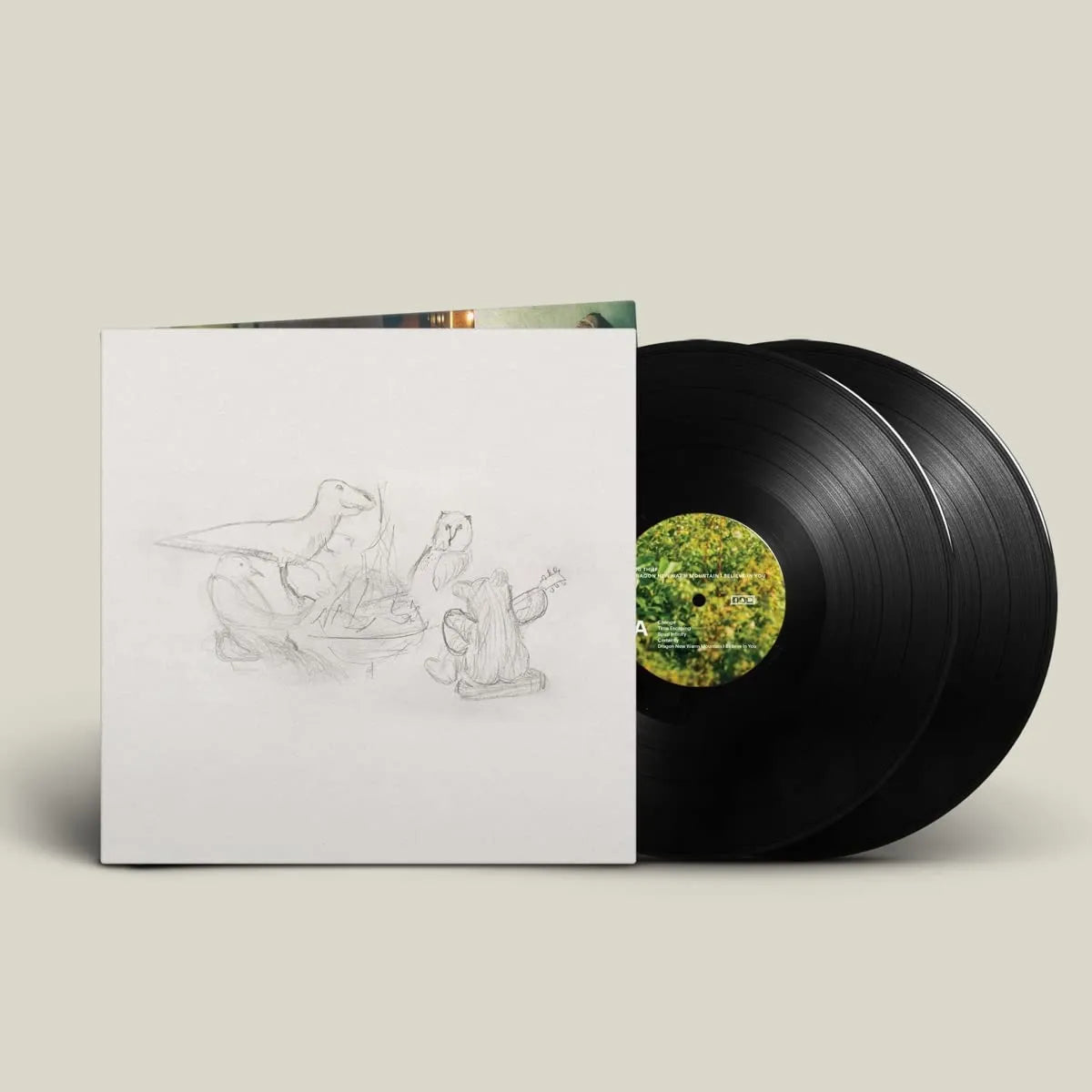 Big Thief "Dragon New Warm Mountain I Believe In You" 2xLP