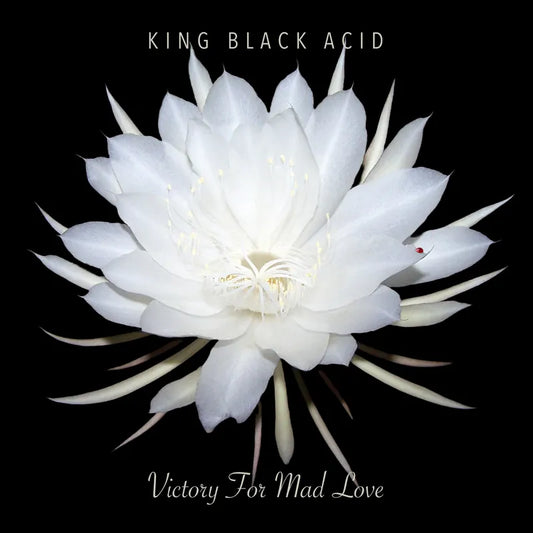 RECORD STORE DAY 2024:  King Black Acid ”Victory For Mad Love” LP