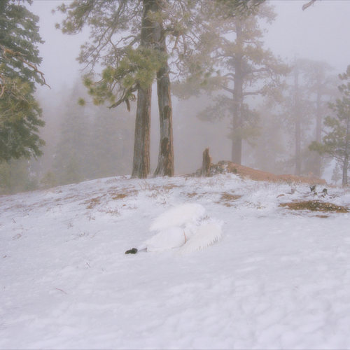 Wisp "Pandora" 12" EP (Milky Clear)