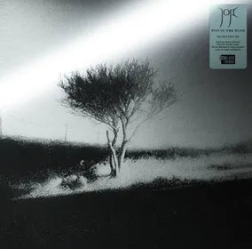 Joji “Piss In The Wind (Deluxe Edition)” 2xLP (Black Pearl Vinyl) (Black Friday 2026)