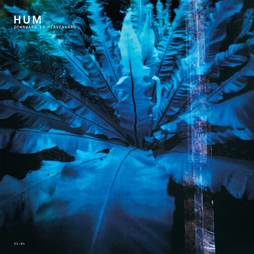 Hum "Downward Is Heavenward" 2xLP