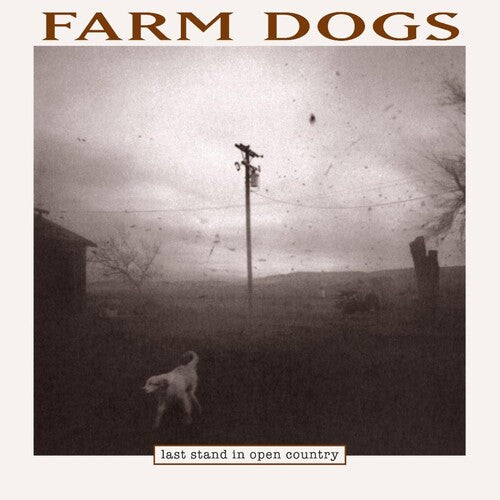 RECORD STORE DAY 2024:  Farm Dogs ”Last Stand In Open Country” 2xLP