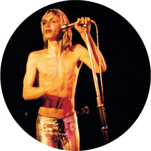 PRE-ORDER: Iggy & The Stooges "More Power" LP (Picture Disc)