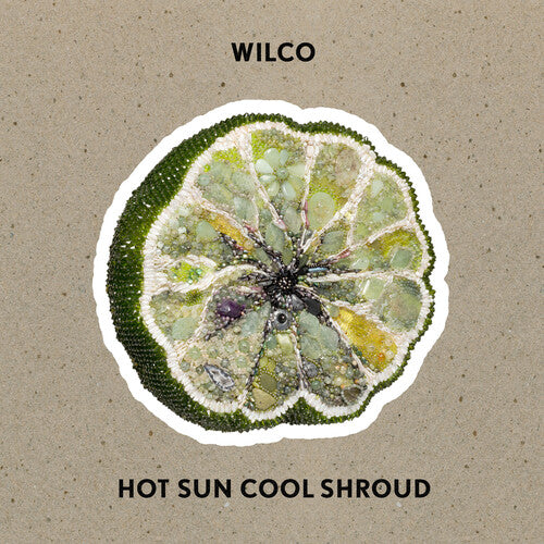 PRE-ORDER: Wilco "Hot Sun Cool Shroud" 12" EP