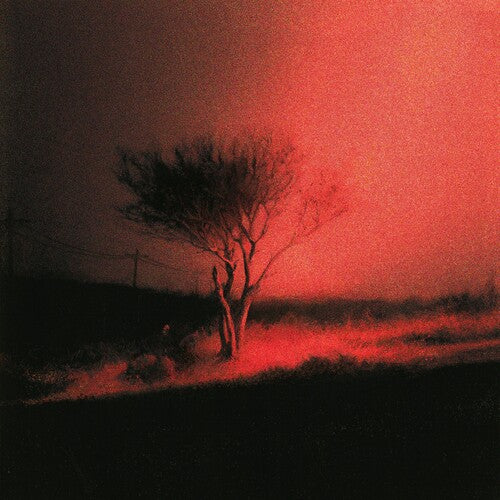 Joji " Piss In The Wind" LP