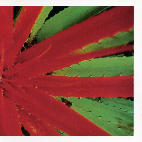 Jejune "This Afternoons Malady" 2xLP