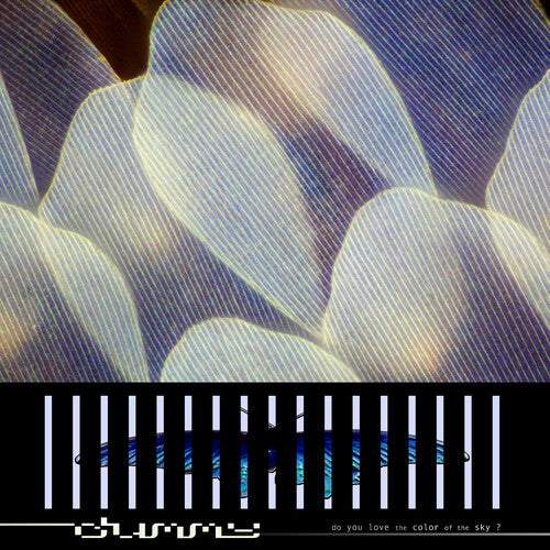 Dummy "Do You Love the Color of the Sky?" CD