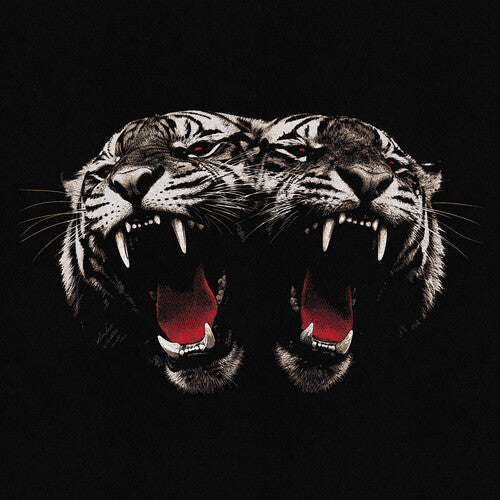 PRE-ORDER: Royal Blood "Dead Company" CD