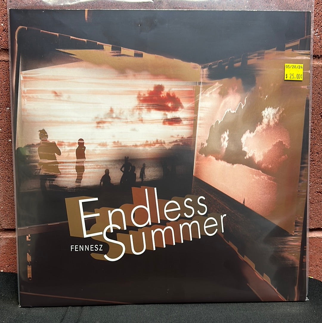 Used Vinyl:  Fennesz ”Endless Summer” 2xLP