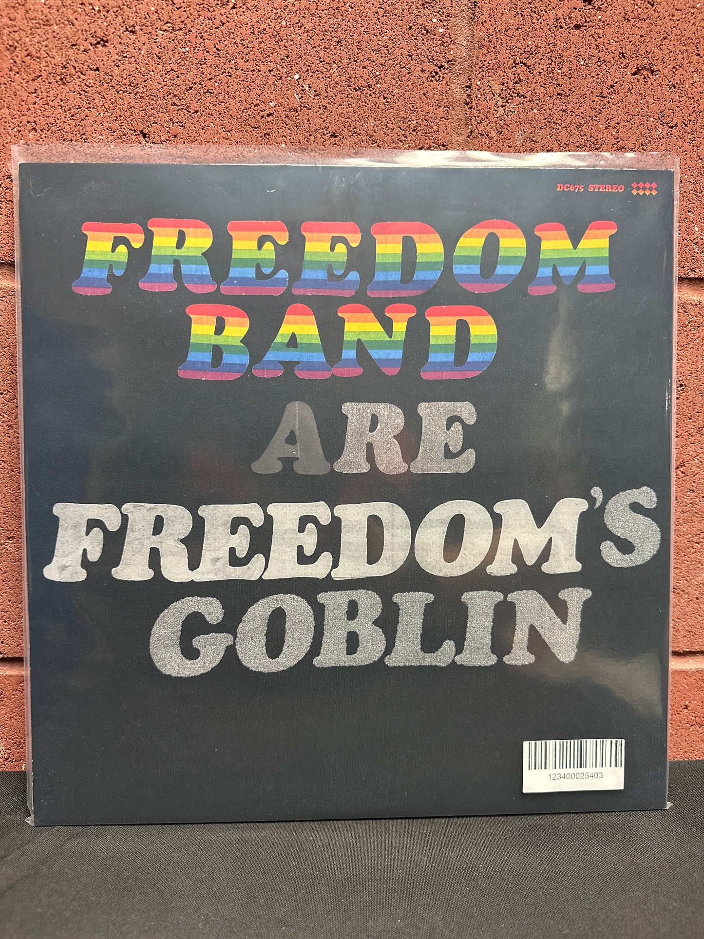 Used Vinyl:  Ty Segall & Freedom Band ”Freedom’s Goblin” 2xLP