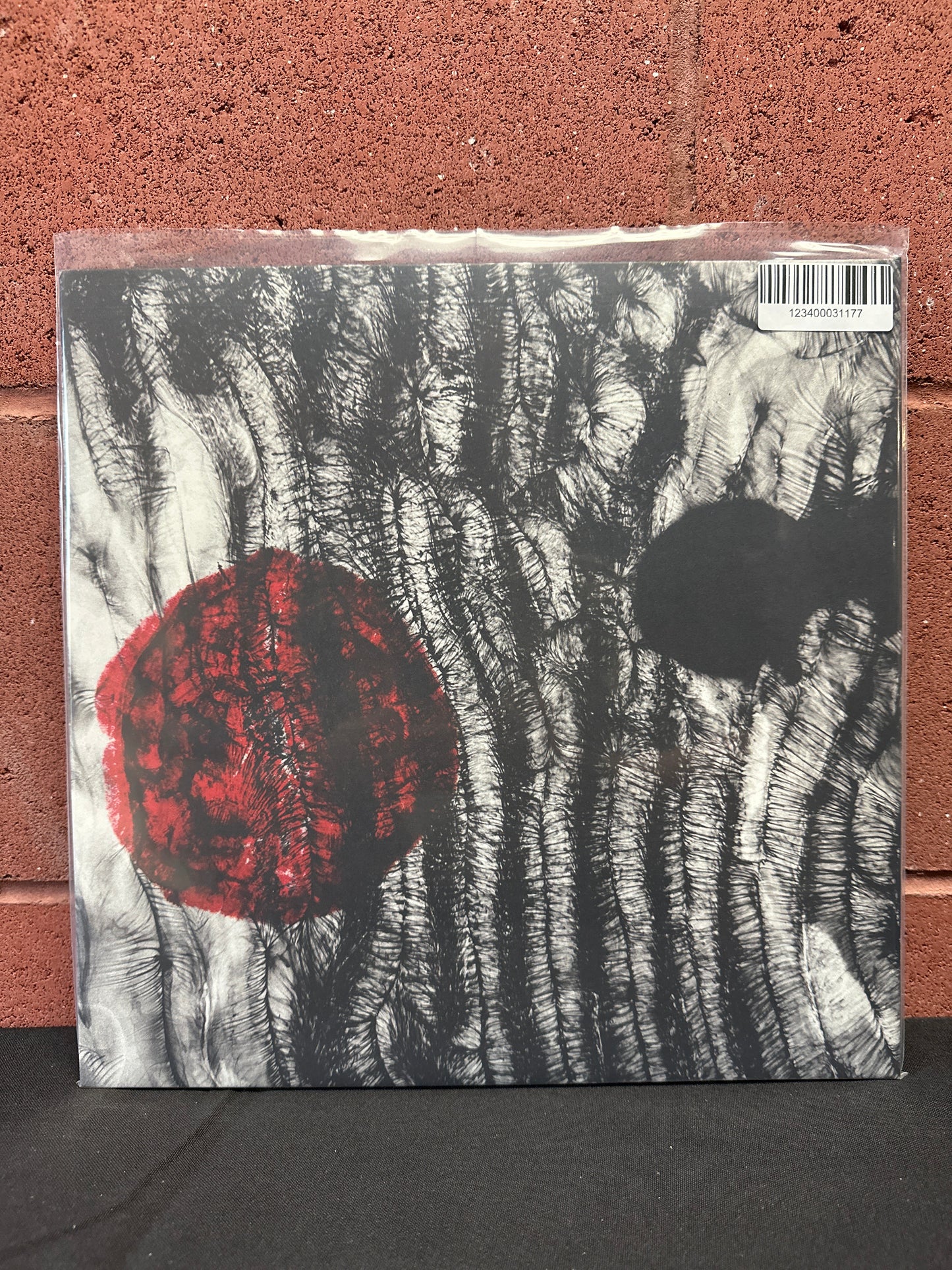 Used Vinyl:  Forests ”Idol Collapse” LP