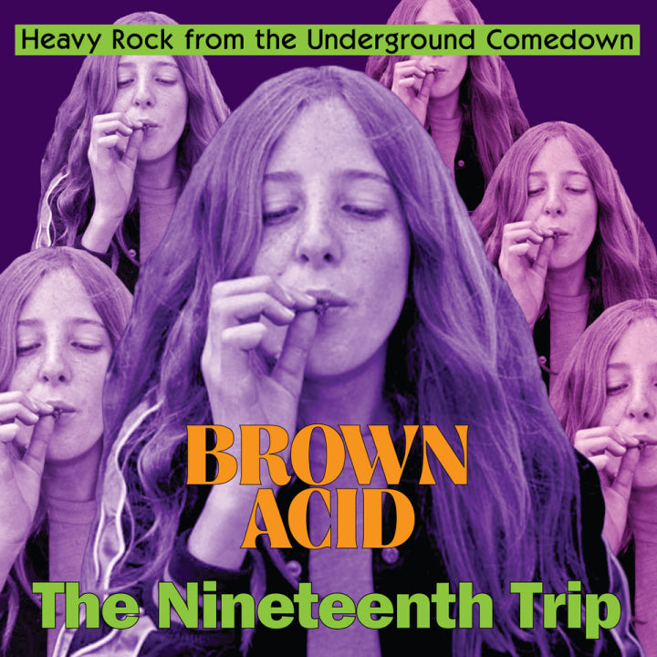 \Various Artists "Brown Acid - The Nineteenth Trip" LP