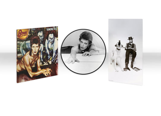PRE-ORDER: David Bowie "Diamond Dogs" LP (PICTURE DISC 50th Anniversary Half Speed Master)