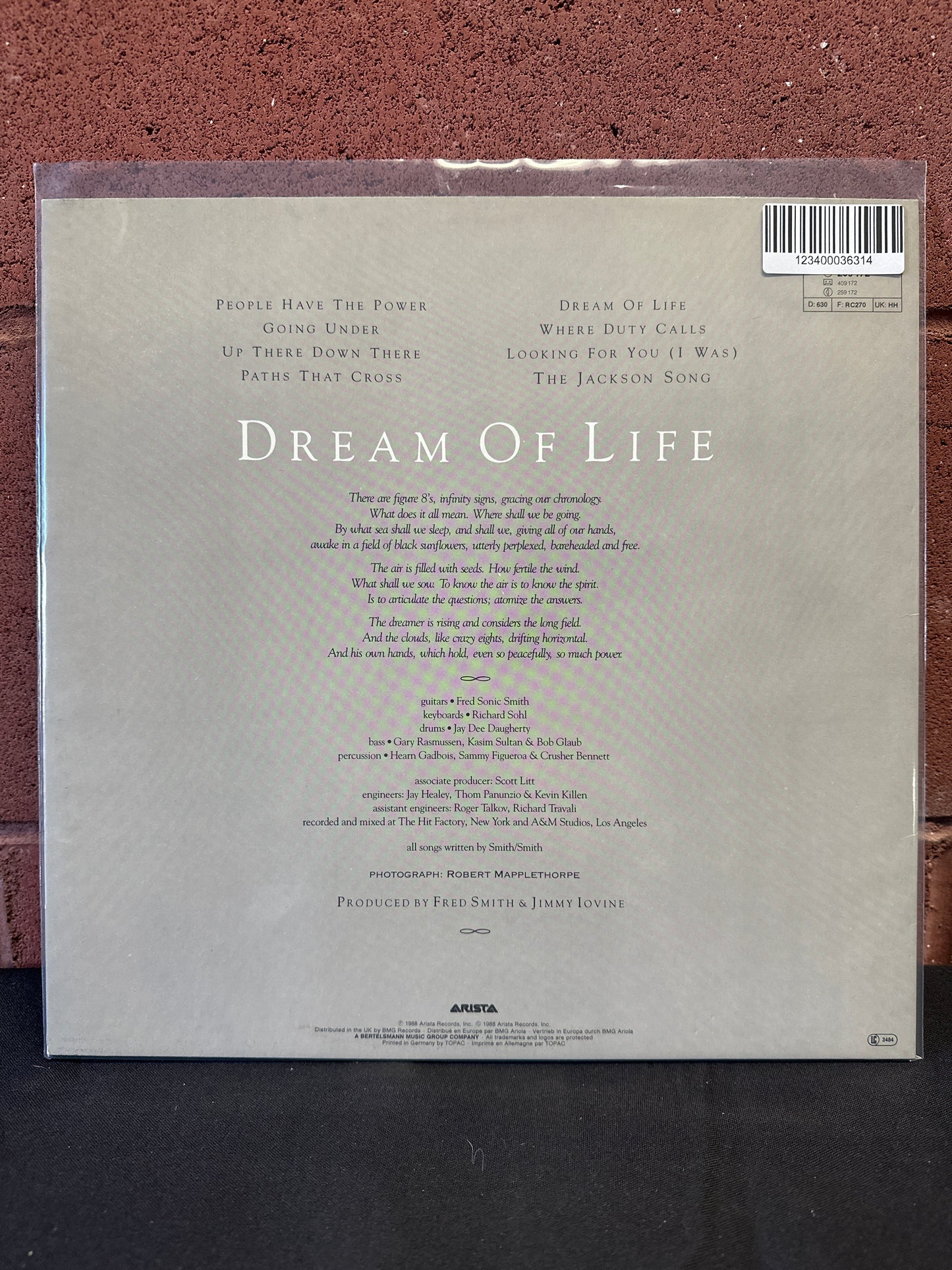 Used Vinyl:  Patti Smith ”Dream Of Life” LP