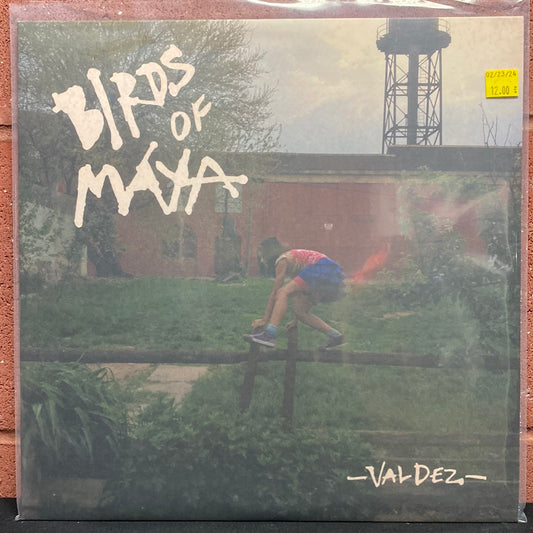 Used Vinyl:  Birds Of Maya ”Valdez” LP