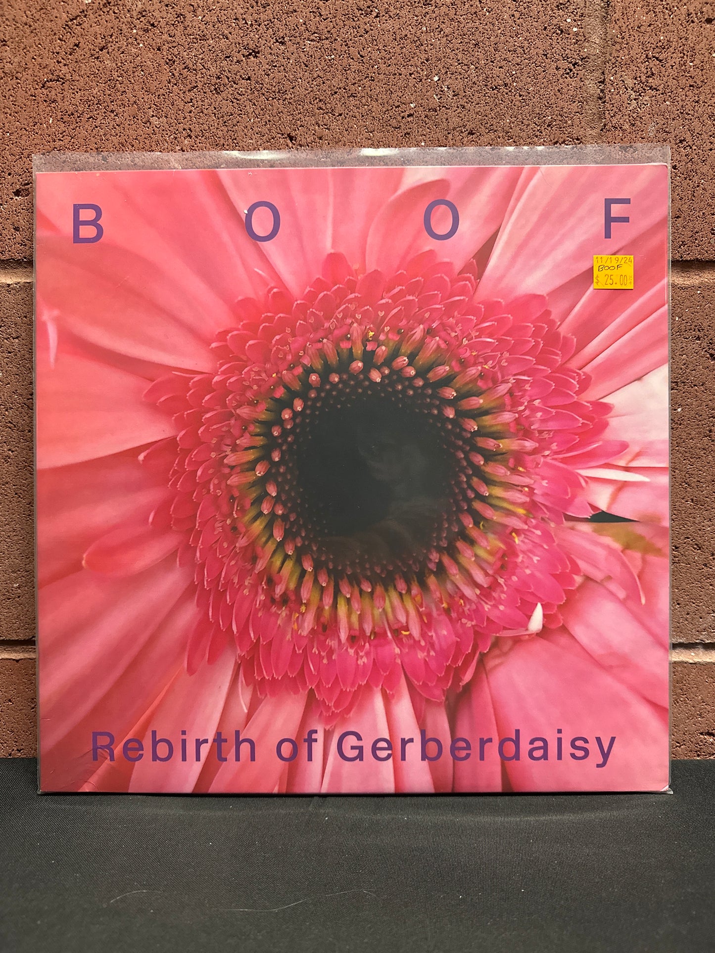 Used Vinyl: Boof "Rebirth Of Gerberdaisy" 2xLP
