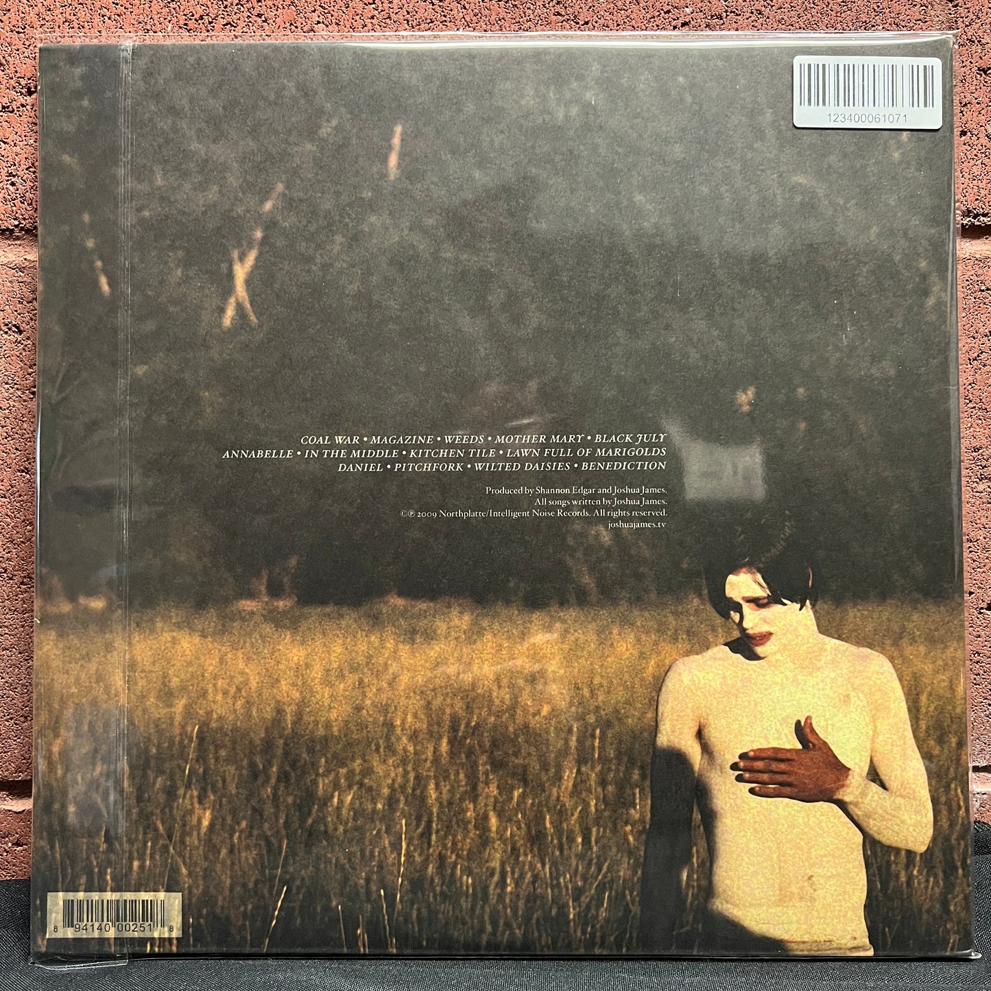 Used Vinyl: Joshua James "Build Me This" 2xLP (2009 Press)