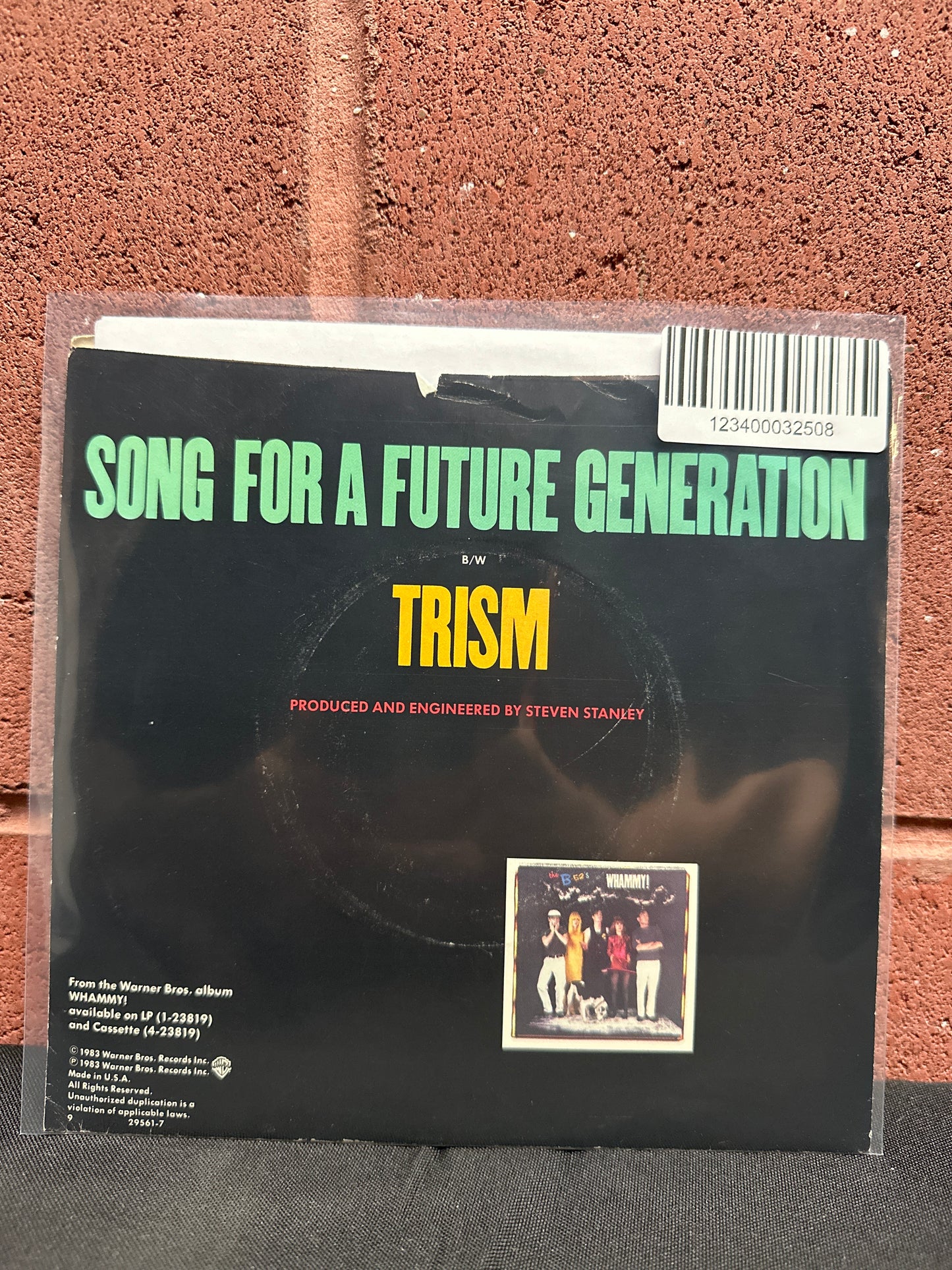 Used Vinyl:  The B-52's ”Song For A Future Generation” 7"