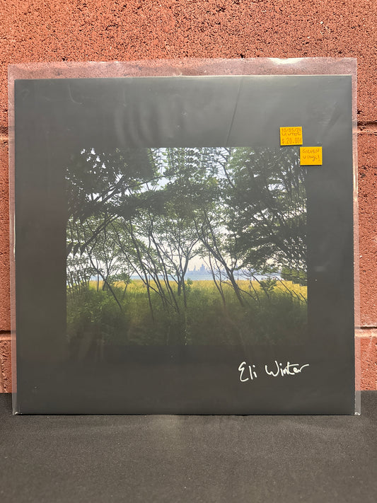 Used Vinyl:  Eli Winter ”Eli Winter” LP