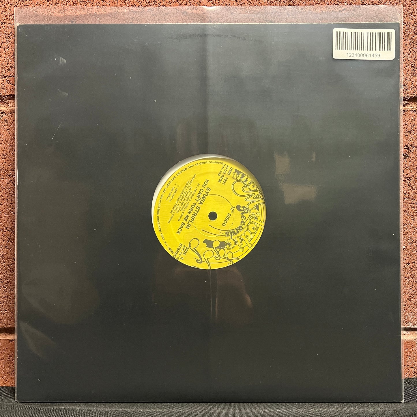 Used Vinyl: Sylvia Striplin "Give Me Your Love / You Can't Turn Me Away" 12" (2004 Press)