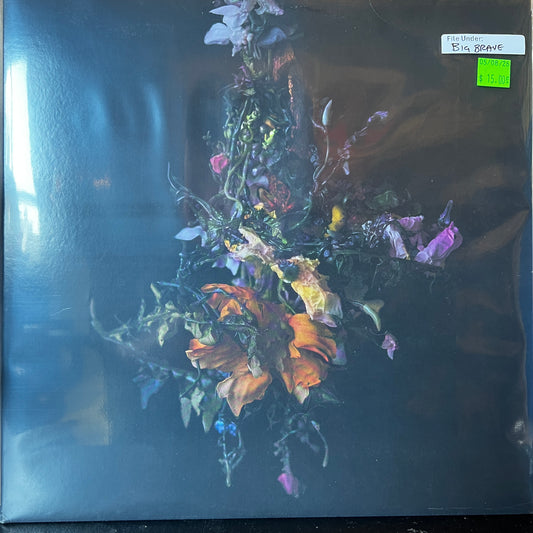 Used Vinyl: Big Brave "Nature Morte" LP