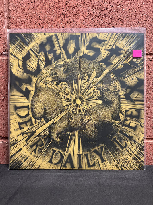 Used Vinyl: Acrostix "Dear Daily Life" LP