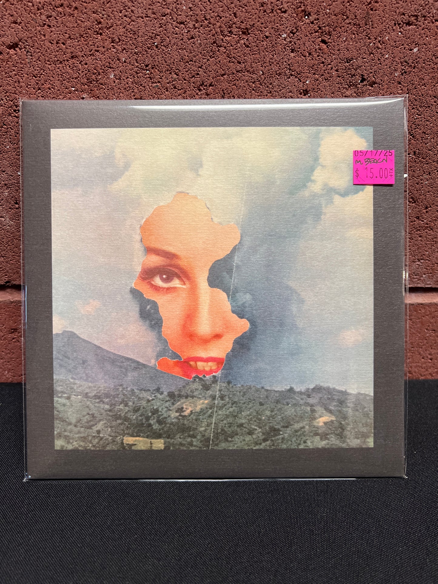 Used Vinyl: Michael Beach / Bitch Diesel "Split" 7"